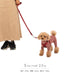 MANDARINE BROTHERS クラシックリード/CLASSIC LEASH